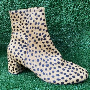 Bota