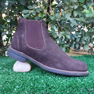 Bota