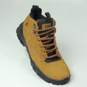 Bota